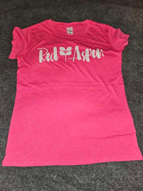 #17 8138 LADIES XL GLITTER TEE (FITTED, RUNS SMALL) GLITTER DTF