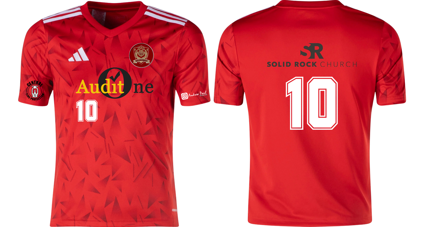 ADIDAS Team Icon 95 jersey - RED or WHITE