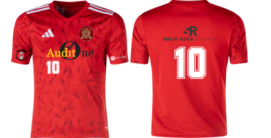 ADIDAS Team Icon 95 jersey - RED or WHITE