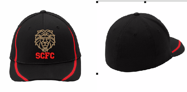 STC16S Sport-Tek® Flexfit® Performance Colorblock Cap